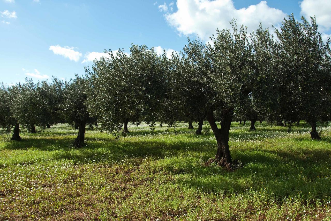 Lu Caffa By Typney Bed and Breakfast Vernole Εξωτερικό φωτογραφία